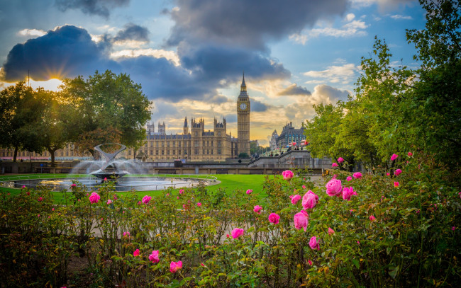 Обои картинки фото города, лондон , великобритания, цветы, биг-бен, вестминстерский, дворец, england, парк, london, англия, лондон, розы, кусты, big, ben, palace, of, westminster, фонтан