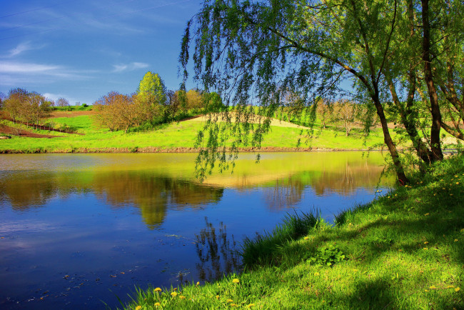 Обои картинки фото природа, реки, озера, река, деревья, трава, лето