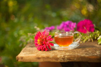 Картинка еда напитки +Чай напиток чай цинния цветы