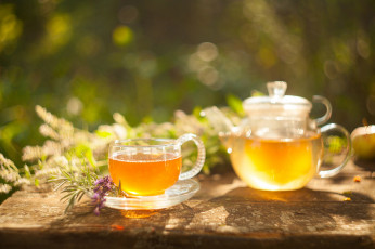 Картинка еда напитки +Чай напиток чай зеленый