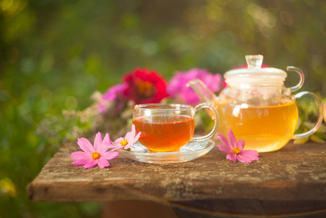 Обои картинки фото еда, напитки,  Чай, цветы, чай, напиток, космея, чайник