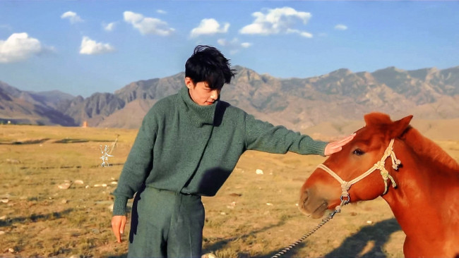 Обои картинки фото мужчины, xiao zhan, свитер, степь, лошадь, горы