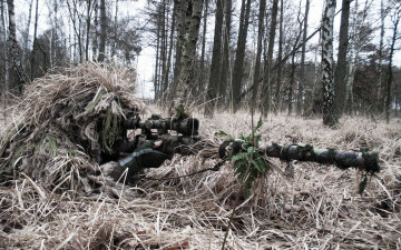 Картинка оружие армия спецназ лес снайпер винтовка трава
