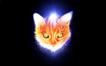 Картинка рисованные животные коты кот морда фон