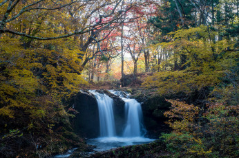 Картинка природа водопады лес водопад