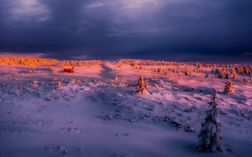 Картинка природа зима домик изгородь ёлки деревья вечер закат снег