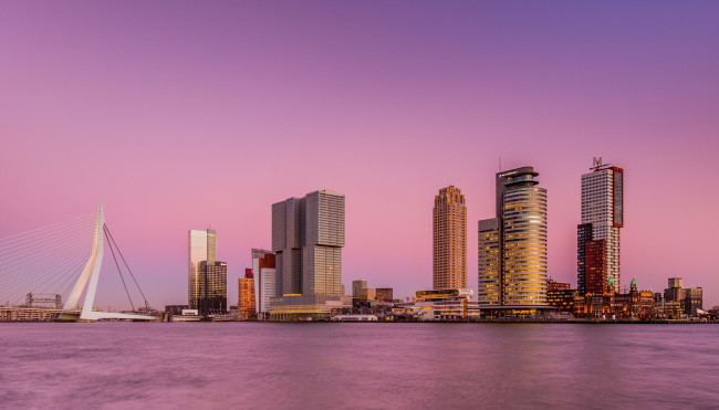 Обои картинки фото города, - мосты, город, роттердам, нидерланды, розовое, река, мост, небоскребы, небо