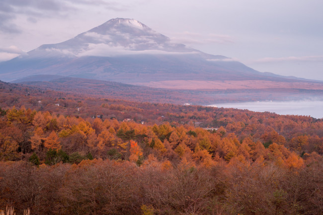 Обои картинки фото природа, горы, осень, гора, лес