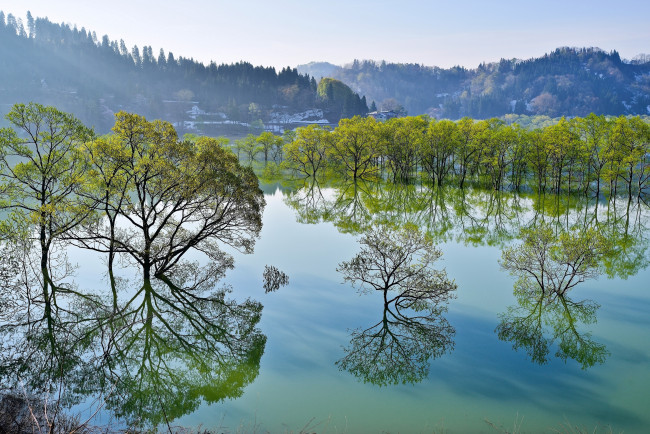 Обои картинки фото природа, реки, озера, отражение, деревья, озеро, Япония, yamagata, iide, Ямагата, ииде, japan, сиракава, lake, shirakawa