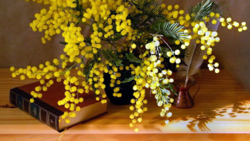Картинка цветы мимоза букет чернильница книга перо