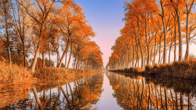 Обои картинки фото природа, реки, озера, река, деревья, осень