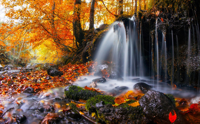 Обои картинки фото природа, водопады, лес, осень, водопад