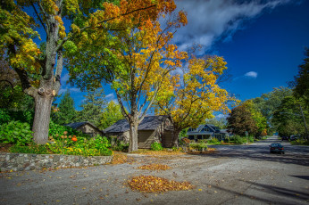 Картинка города -+здания +дома northport michigan жёлтые сша дома улица машины деревья облака солнце небо листья осень дорога