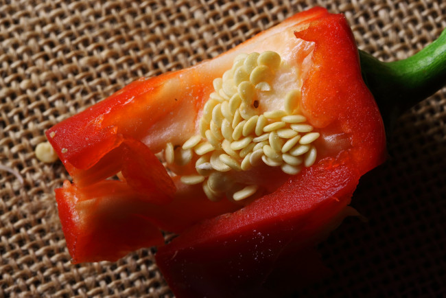 Обои картинки фото еда, перец, красный, болгарский, стручок, семена