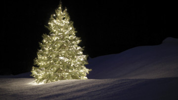 обоя праздничные, Ёлки, снег, елка, гирлянда