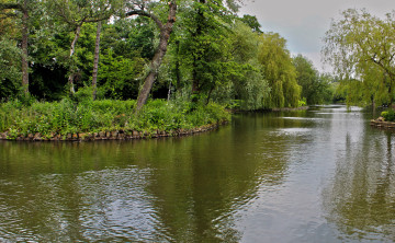 Картинка ropner park stockton on tees англия природа парк водоем деревья