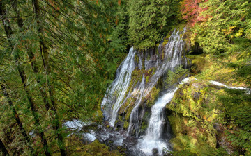 Картинка природа водопады водопад лес пейзаж