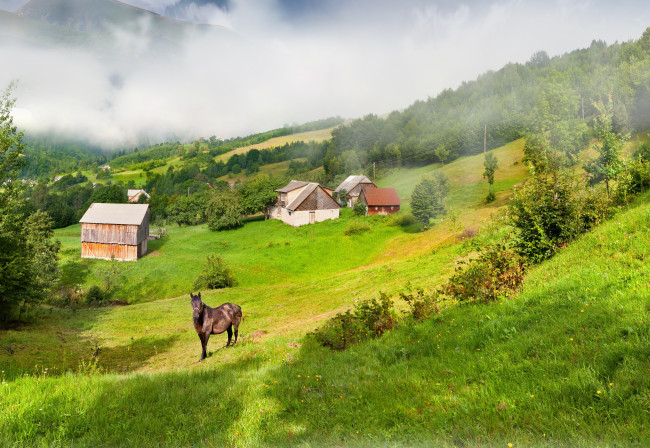 Обои картинки фото природа, пейзажи, сопки, дома, лошадь, туман, склон, трава