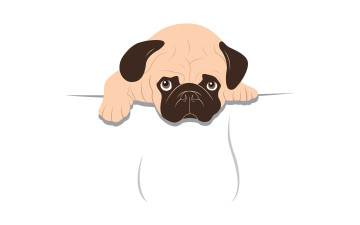Картинка рисованные минимализм собака