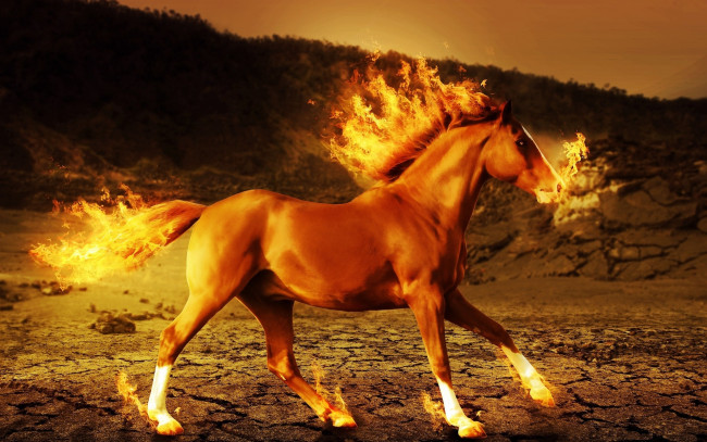 Обои картинки фото разное, компьютерный дизайн, огонь, лошадь