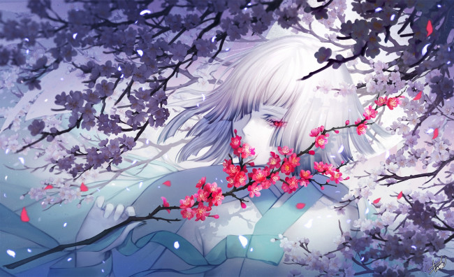 Обои картинки фото аниме, unknown,  другое, danhu, девушка, сакура, белые, волосы, ветка, цветы