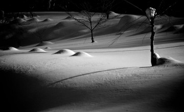 Картинка природа зима ночь тени свет