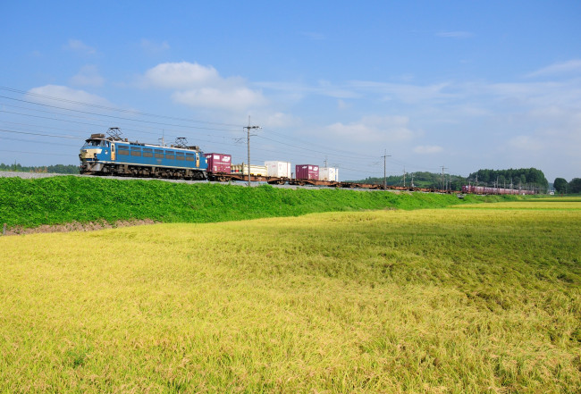 Обои картинки фото техника, поезда, поле, поезд