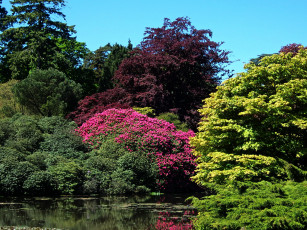 Картинка sheffield+park+garden+england природа парк сад пруд кусты англия
