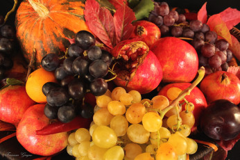 Картинка еда фрукты+и+овощи+вместе виноград слива гранат тыква