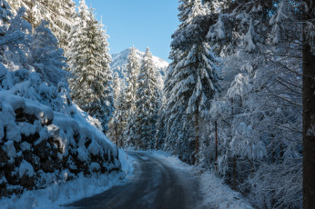 Картинка природа зима лес горы снег дорога