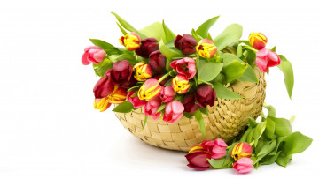 Картинка цветы тюльпаны бутоны корзина