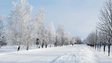 Картинка природа дороги деревья дорога снег