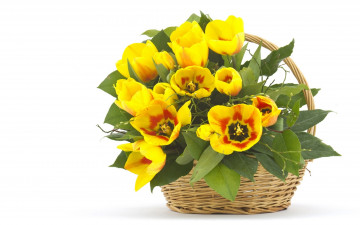 Картинка цветы тюльпаны жёлтые листья корзина