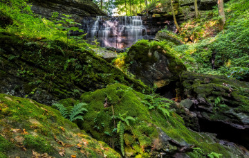 Картинка природа водопады камни мох