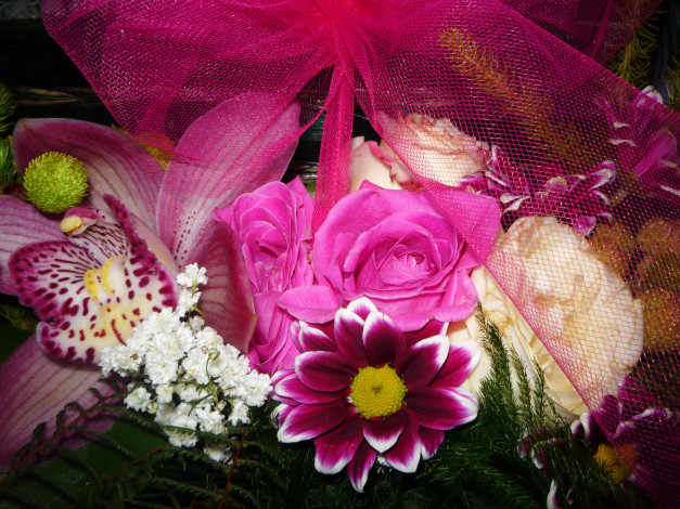 Обои картинки фото цветы, букеты,  композиции, орхидеи, розы, хризантемы, букет