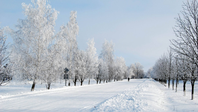 Обои картинки фото природа, дороги, деревья, дорога, снег