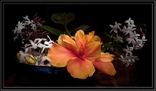 Обои картинки фото цветы, разные вместе, ваза, букет