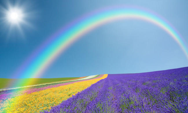 Обои картинки фото природа, радуга, поля