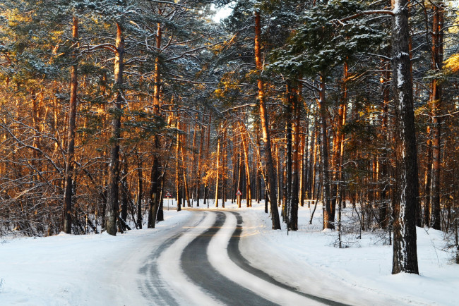 Обои картинки фото природа, зима, снег, дорога, сосны, лес