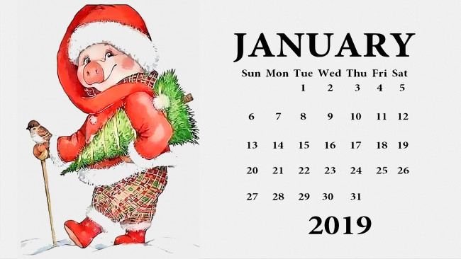 Обои картинки фото календари, праздники,  салюты, свинья, шапка, птица, елка, поросенок