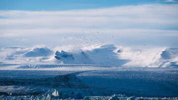 Картинка природа айсберги+и+ледники снег зима птицы горы