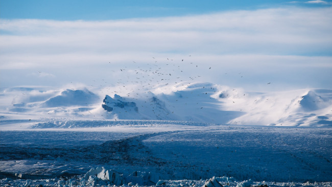 Обои картинки фото природа, айсберги и ледники, снег, зима, птицы, горы