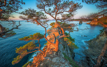Картинка природа побережье gamov peninsula russia мыс гамова россия дальний восток приморье японское море