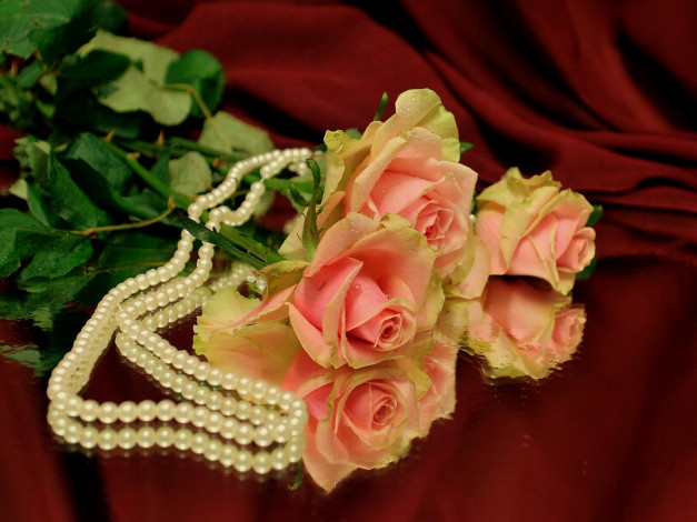 Обои картинки фото nezabudka, fn, ***, цветы, розы