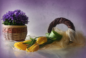Картинка цветы разные+вместе колокольчики тюльпаны