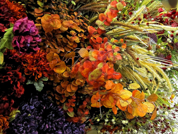Обои картинки фото разное, компьютерный дизайн, разные, вместе, цветы