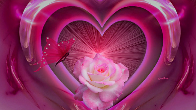 Обои картинки фото праздничные, день святого валентина,  сердечки,  любовь, бабочка, роза