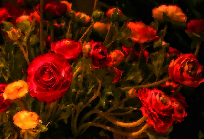 Обои картинки фото разное, компьютерный дизайн, цветы, розы, красные