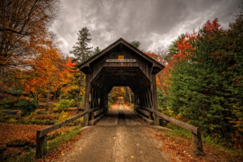 Картинка природа дороги тракт лес осень мост