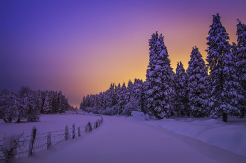 Картинка природа зима снег лес поле вечер